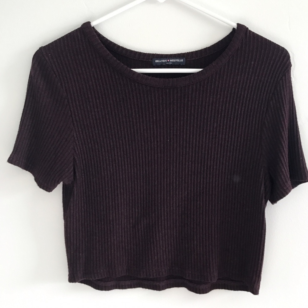 Plum Ribbed Crop Top